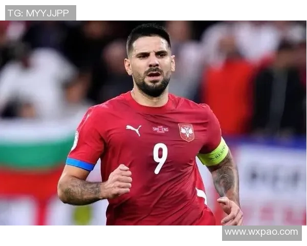 塞尔维亚足球明星盘点他们在国际赛场上的辉煌成就与影响力